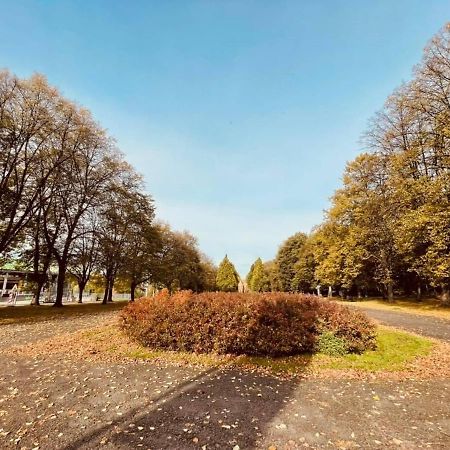 Apartamenty Ktw Silesia City Center - Park Slaski Katowice Bagian luar foto