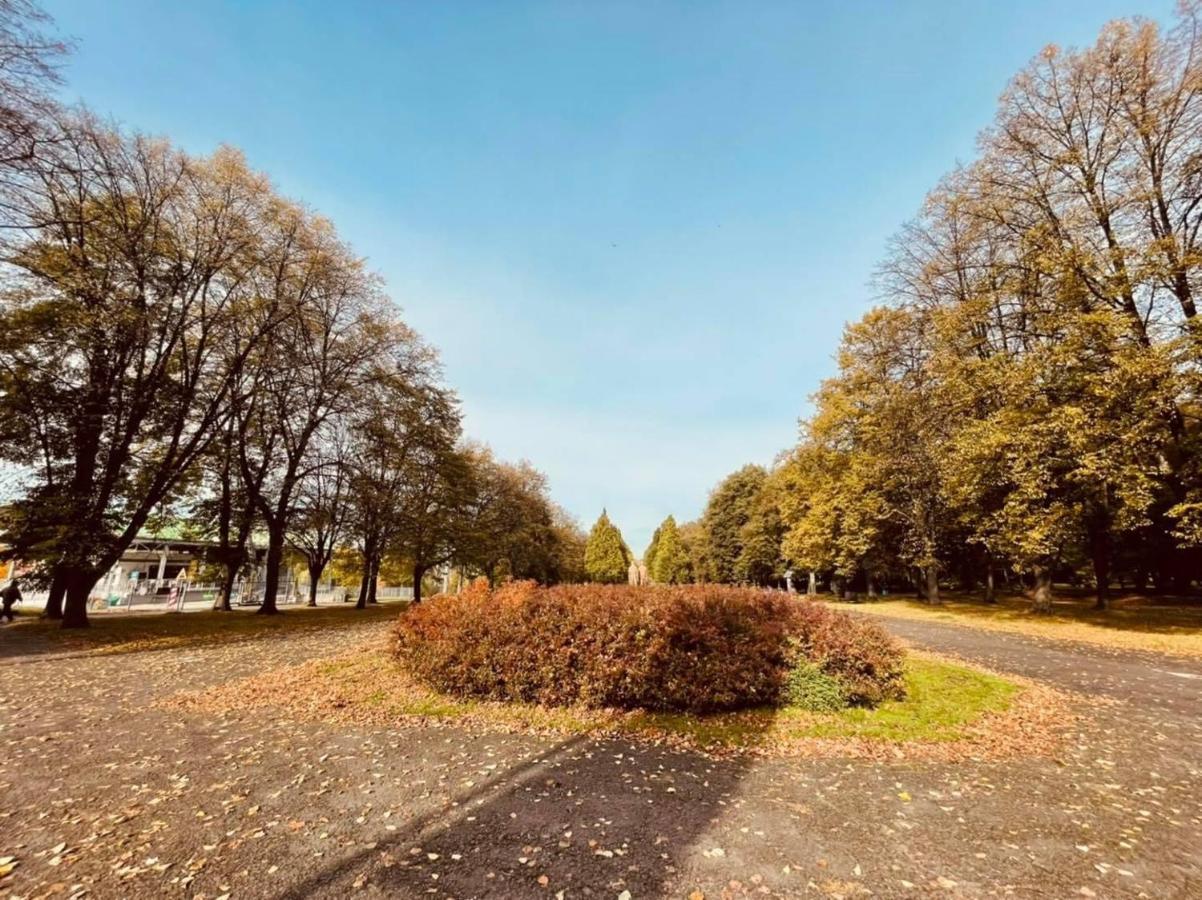 Apartamenty Ktw Silesia City Center - Park Slaski Katowice Bagian luar foto
